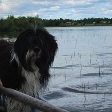 Blanco121.jpg